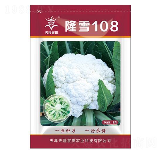 隆雪108-天隆在田-天隆農(nóng)業(yè)