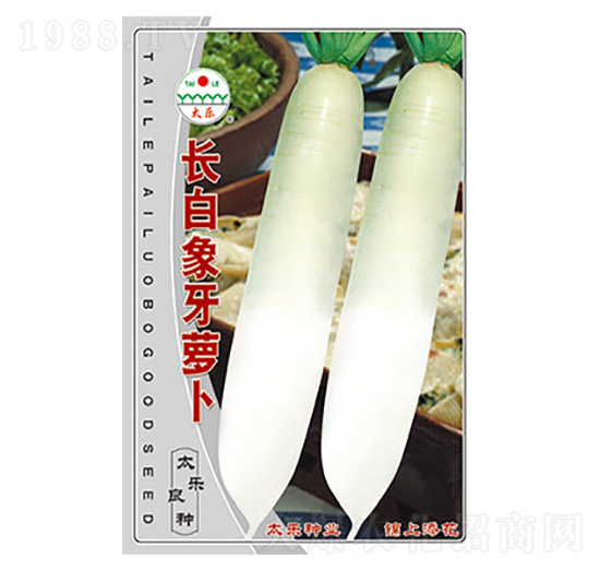 蘿卜種子-長白象牙蘿卜-太樂種業(yè)
