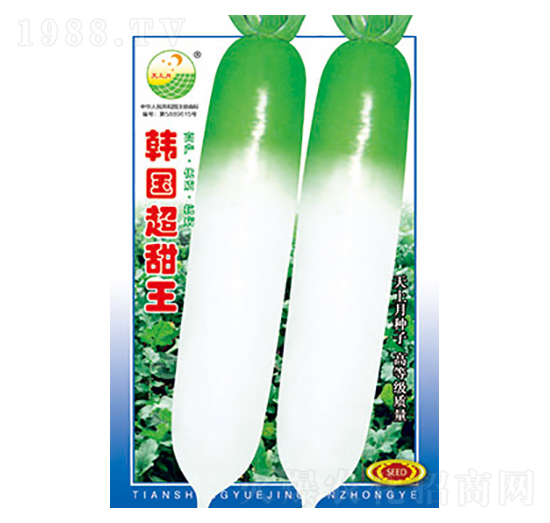 蘿卜種子-韓國超甜王-太樂種業(yè)
