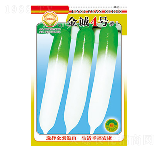 蘿卜種子-金誠4號-太樂種業(yè)