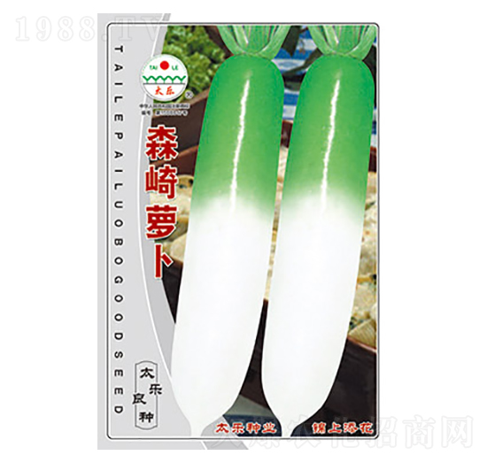 蘿卜種子-森崎蘿卜-太樂種業(yè)