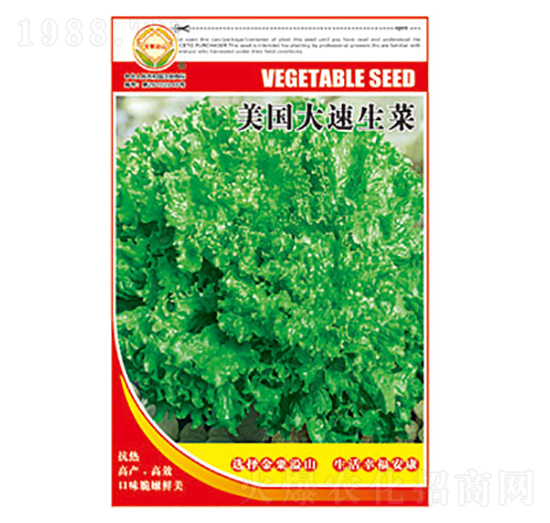 生菜種子-美國(guó)大速生菜-太樂種業(yè)