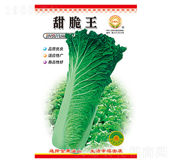 白菜種子-甜脆王-太樂(lè)種業(yè)
