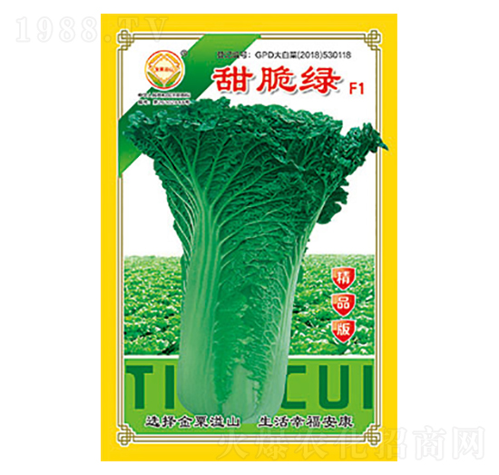白菜種子-甜脆綠精品版-太樂種業(yè)