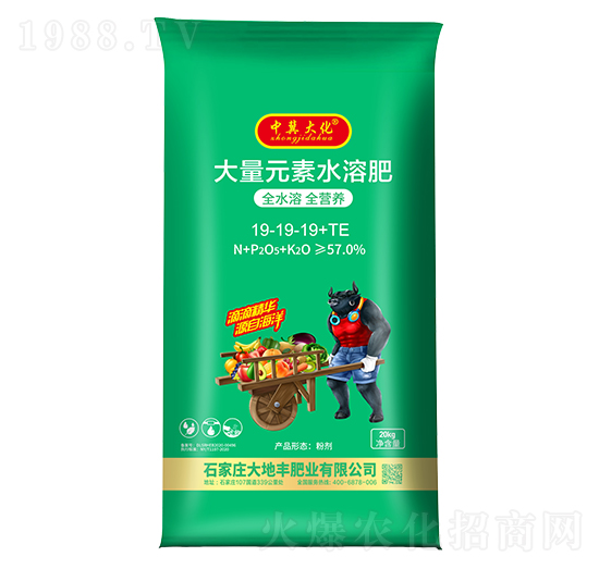 大量元素水溶肥19-19-19+TE-中冀大化-大地豐