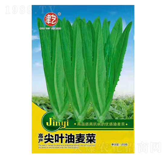 �����˷N��-���~������-���S�r�I(y��)