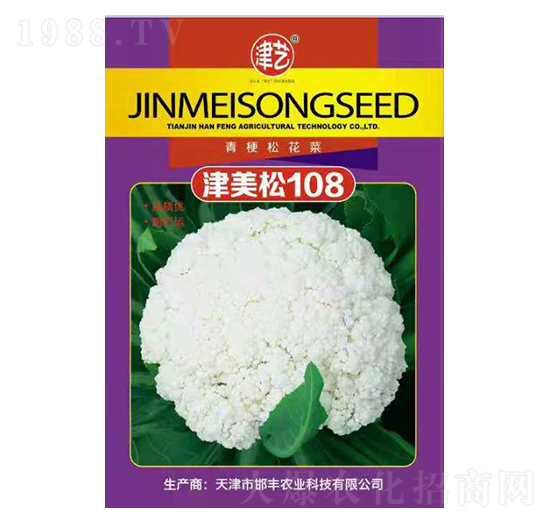 花菜種子-津美松108-邯豐農(nóng)業(yè)