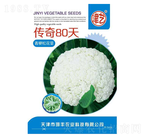 ���˷N��-����80��-���S�r�I(y��)