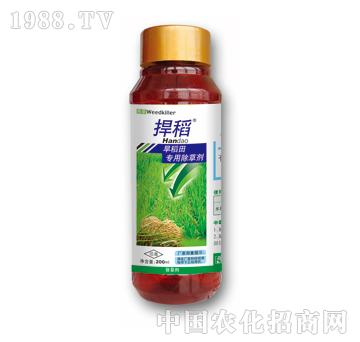 捍稻-泰陽(yáng)