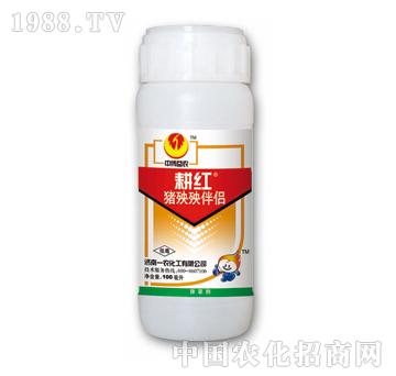 耕紅豬殃殃伴侶-泰陽