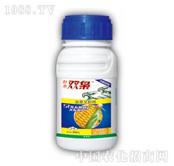 封殺雙裊-泰陽(yáng)