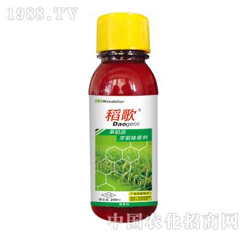 稻歌-泰陽(yáng)