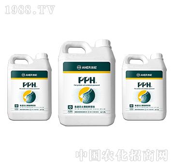 PPH-�~(y��)������������ܴa-�Խ