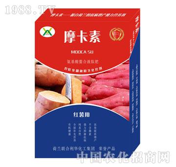 �t�팣�ð���������Һ�ķ�-Ħ����-��(qi��ng)о���H