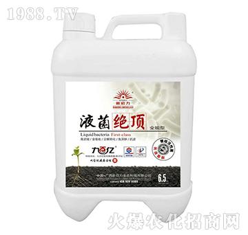 液菌絕頂（全能型）-新啟力