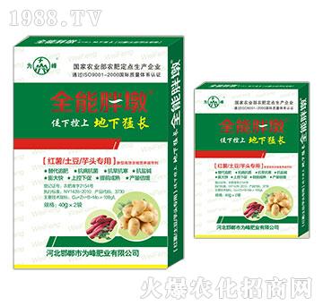 �t�������������^����-ȫ���ֶ�-���