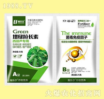 ���G���L(zh��ng)�������J����+������������-嫘�(l��)��