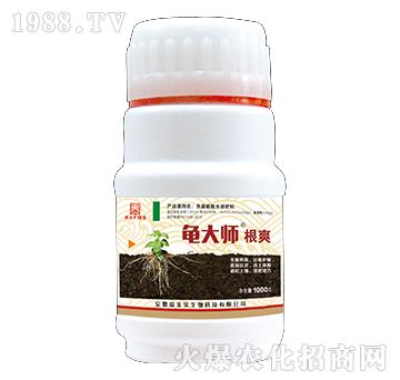 1000g根爽-龜大師-富美實(shí)