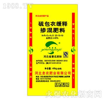 ����¾�ጓ����25-