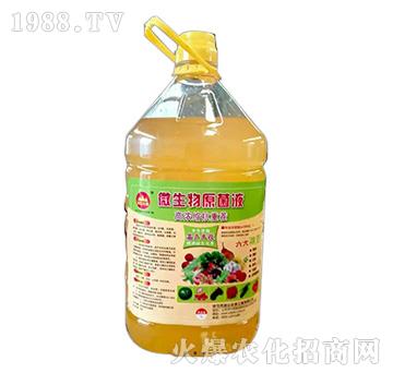 微生物原菌液-金山生物