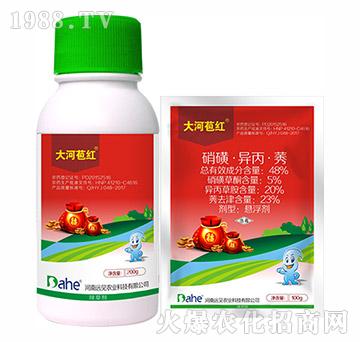 48%硝磺·異丙·莠-大河苞紅-遠見農(nóng)業(yè)