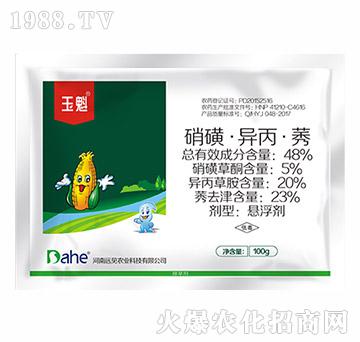 48%硝磺·異丙·莠-玉魁-遠見農業(yè)