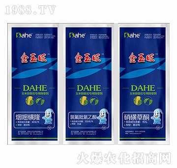 金玉旺-遠(yuǎn)見(jiàn)農(nóng)業(yè)