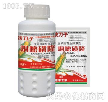 4%煙嘧磺隆-萬代紅-綠保