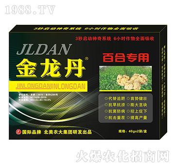 ������-�ٺό�(zhu��n)��-�����r(n��ng)��