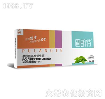 茶桑需配-多肽氨基酸益生菌-圃朗特