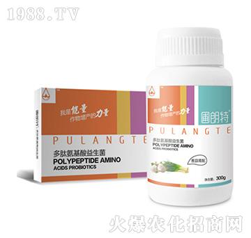 �[������-���İ�����������-������