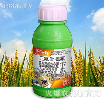 24%五氟·吡·氰氟-王炸-尚禾沃達(dá)