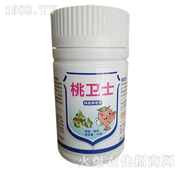 桃膠病專用-桃衛(wèi)士-諾爾生物