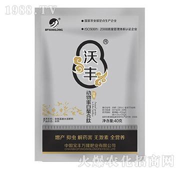 ��(d��ng)�ﵰ��������-���S�f(w��n)¡