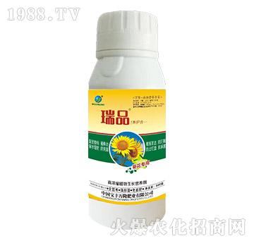 �������øߝ�sֲ�����L(zh��ng)�I(y��ng)�B(y��ng)��-��Ʒ-���S�f(w��n)¡