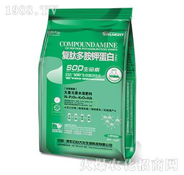 ��(f��)�Ķష⛵��׹��ܷ�-���_(t��i)��