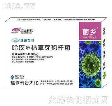 �������þ��l(xi��ng)-���_��