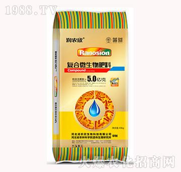 �ͺ�΢�������-���r��