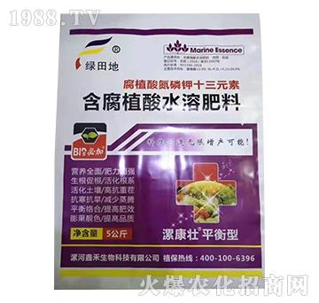 腐殖酸氮磷鉀十三元素-漯康壯-綠田地