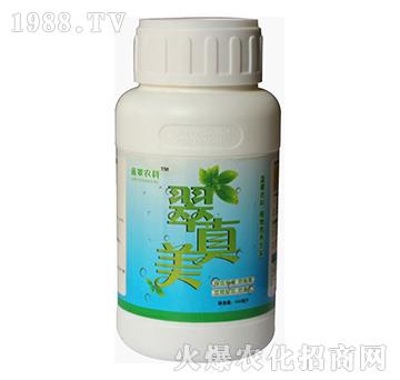 ������-�{(l��n)���r(n��ng)��