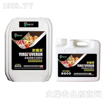 ����̎���ͺ���ֲ��ˮ�ܷ���-�r���`-Ӣ���~��