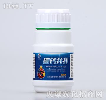 ���}���a(b��)-��(qi��ng)�r(n��ng)����