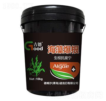 �������������屬��-��ķɳ