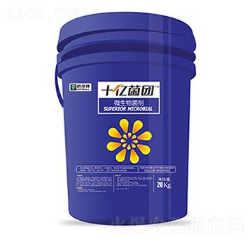 ΢�������-ʮ�|���F-�����Ƽ�