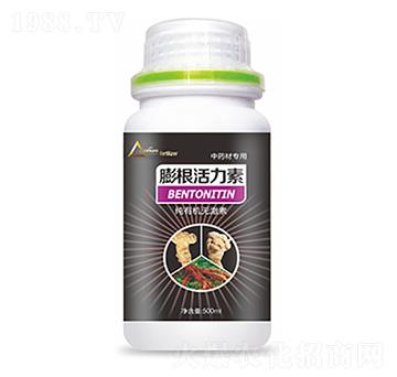 ��ˎ�Č������������-��ԣ�Ƽ�