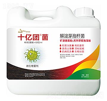 ���ѿ�ߗU��-ʮ�|�F��-�����Ƽ�