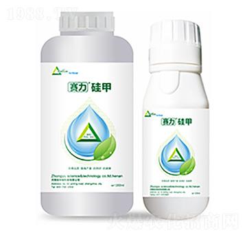 ِ�����-�����Ƽ�