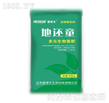 ��Ԫ�������-��߀ͯ