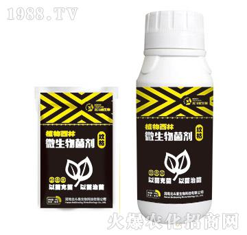 �y�݌���΢�������-ֲ������-������