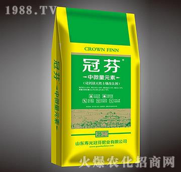 ��΢��Ԫ��-�ڷ�